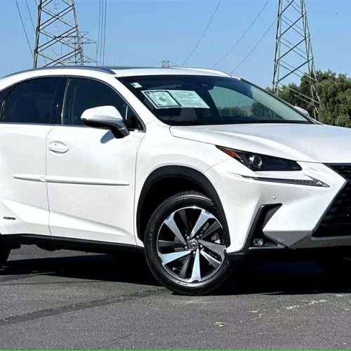 2019 LEXUS NX300