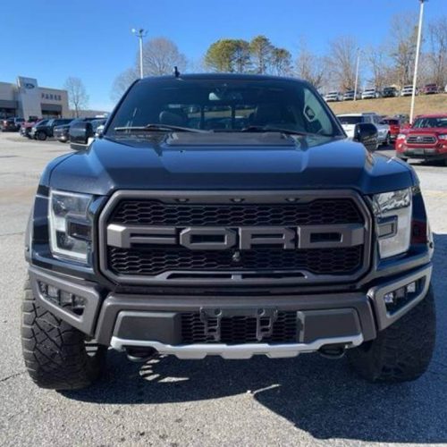 Used 2019 Ford F-150 Raptor 4dr SuperCrew For Sale 2019 Ford F-150 Raptor 4dr SuperCrew 4WD (3.5L 6cyl Turbo 10A)